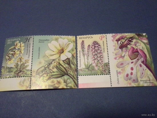 Беларусь 2011 серия цветы с купоном