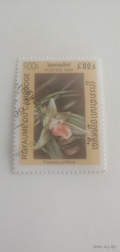 Камбоджа 1999. Орхидеи