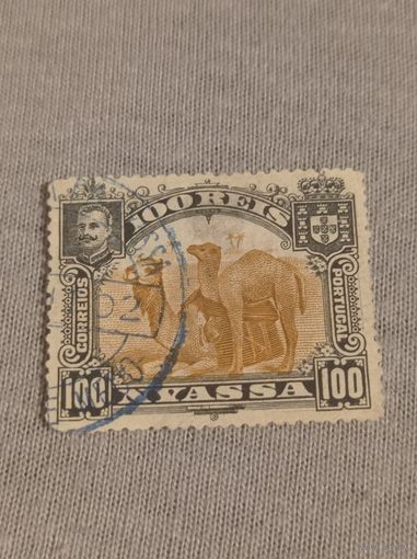 Португальский Мозамбик 1901 года. Ньяса. Верблюды. 100 рейсов