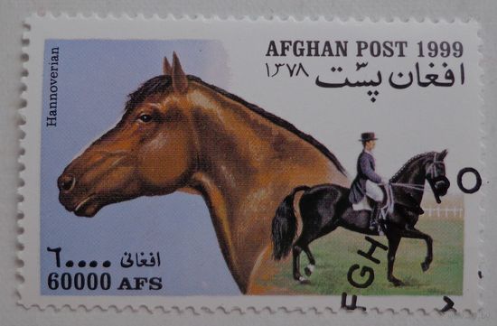 Афганистан.1999.лошади