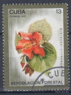 Куба 1975. Флора.
