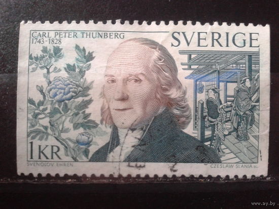 Швеция 1973 Исследователь и путешественник