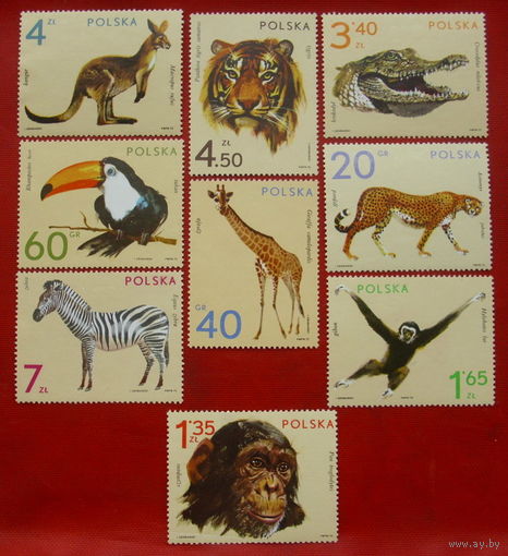 Польша. Животные. ( 9 марок ) 1972 года.