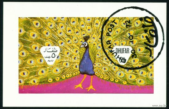 Павлин Дофар 1972 год блок из 1 беззубцовой марки