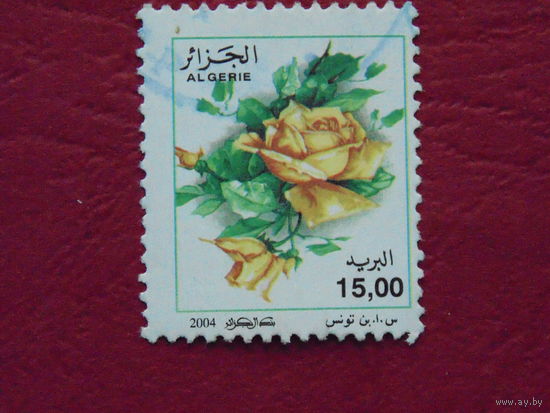 Алжир 2004г. Цветы.
