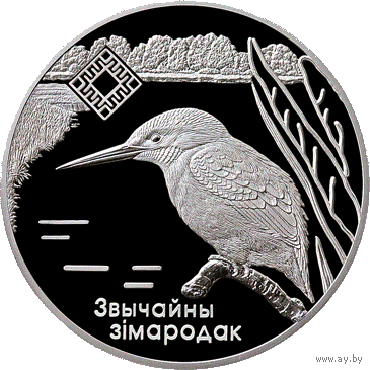 Беларусь - 20 рублей 2008 - Зимородок Ag