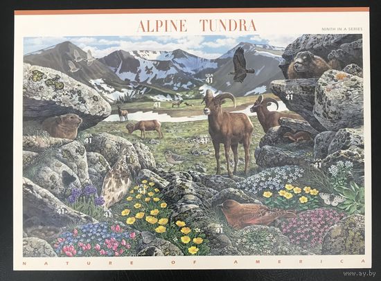 2007 Природа Америки - Альпийская тундра - самоклеющиеся