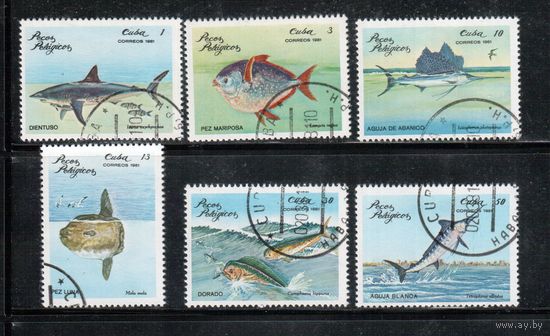 Куба-1981,(Мих.2534-2539) гаш.,  Фауна, Рыбы  (полная серия)
