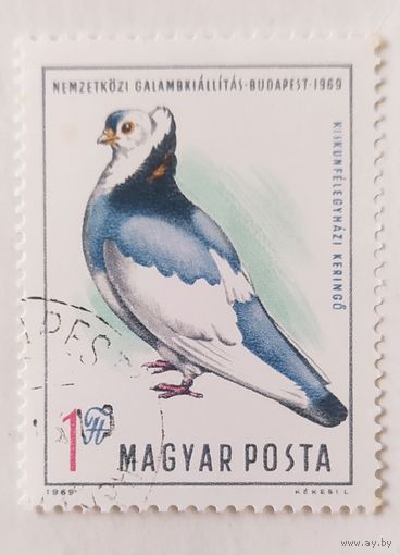 Венгрия 1969, голубь