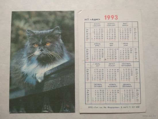 Карманный календарик. Котик.1993 год