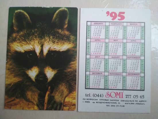 Карманный календарик. Енот. 1995 год