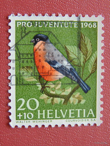 Швейцария. 1968 г. Птицы.