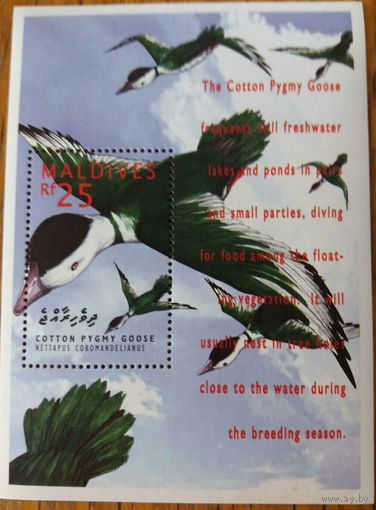 Мальдивы 1993, УТКИ, Птицы, ФАУНА MNH