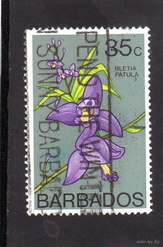 Барбадос. Ми-375. Цветы.Орхидеи.1976