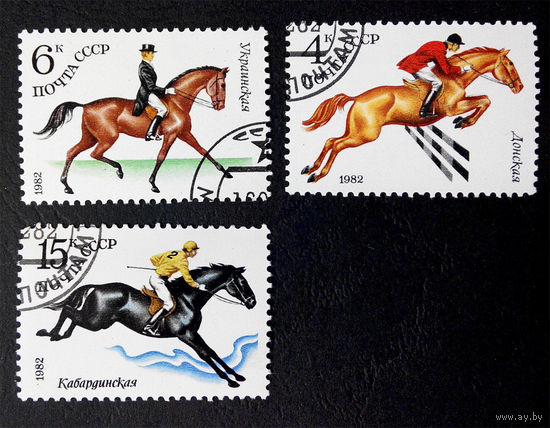 СССР 1982 г. Конный спорт. Породы лошадей, полная серия из 3 марок #0074-С1P12