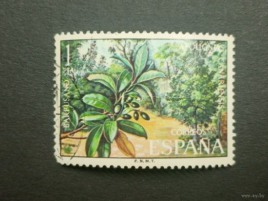 Испания 1973. Флора Канарских островов