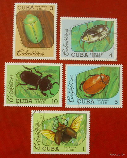 Куба. Жуки. ( 5 марок ) 1988 года. 1-1.