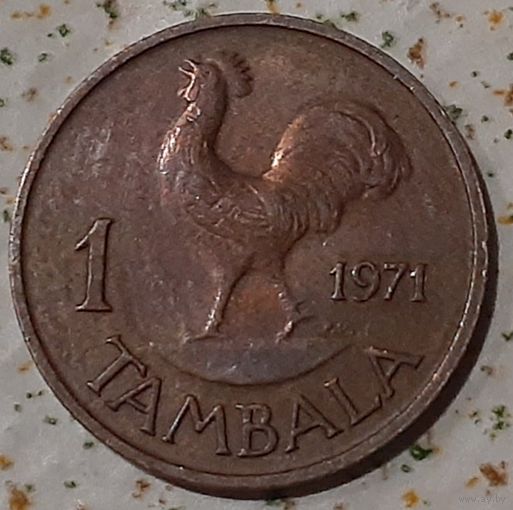 Малави 1 тамбала, 1971 (4-4-8)
