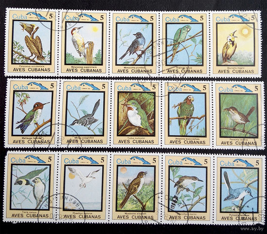 Куба 1983 г. Птицы. Фауна. полная серия из 15 марок #0068-Ф1