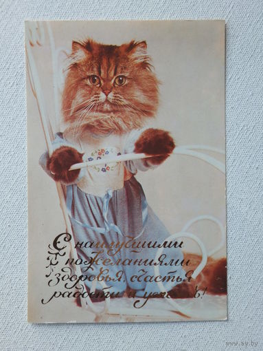 Рекламная открытка Тирасполь 1988 10х15 см