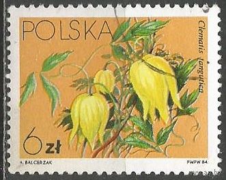 Польша. Цветы. Леменос тангутский. 1984г. Mi#2907.