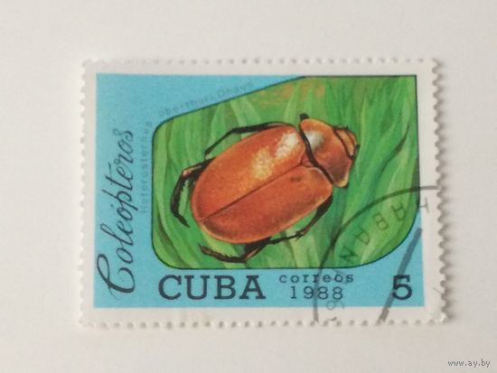 Куба 1988. Жуки