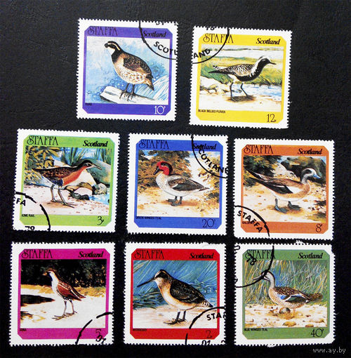 Стаффа. Шотландия 1978 г. Птицы. Фауна, полная серия из 8 марок #0053-Ф2P10