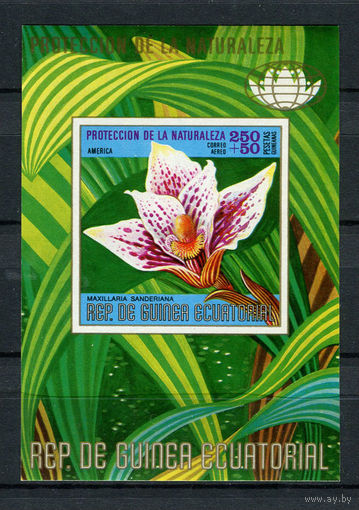 Экваториальная Гвинея - 1974 - Цветы и кактусы Северной Америки - [Mi. bl. 131] - 1 блок. MNH.