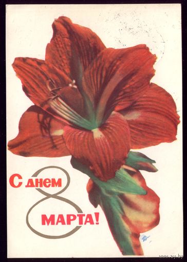 1965 год Е.Удин С днём 8 марта!