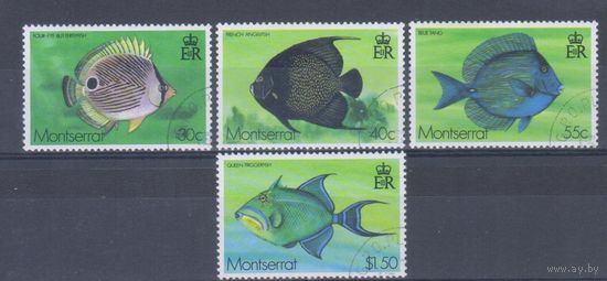 [1380] Монтсеррат 1978. Фауна.Рыбы. Гашеная серия.