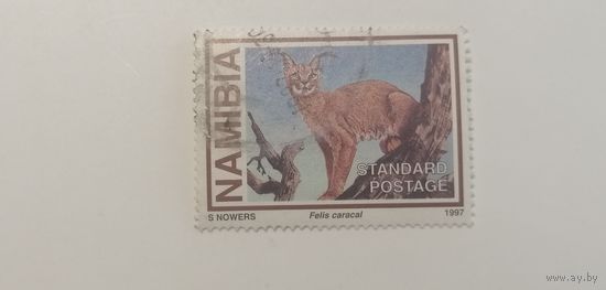 Намибия 1997. Маленькие дикие кошки
