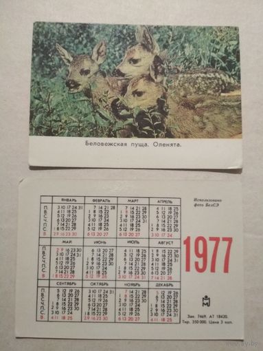 Карманный календарик. Беловежская пуща. Оленята .1977 год