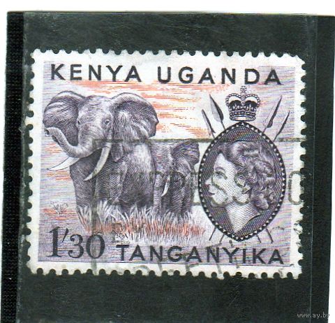 Кения, Уганда и Танганьика. Восточно африканское сообщество. Mi:EA 101. Королева Елизавета II и Африканский слон (Loxodonta africana). 1955.