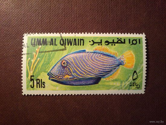 Умм-эль-Кайвайн 1967 г.Рыбы Персидского залива.Оранжевополосый балистап./11а/