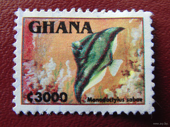 Гана. Фауна.