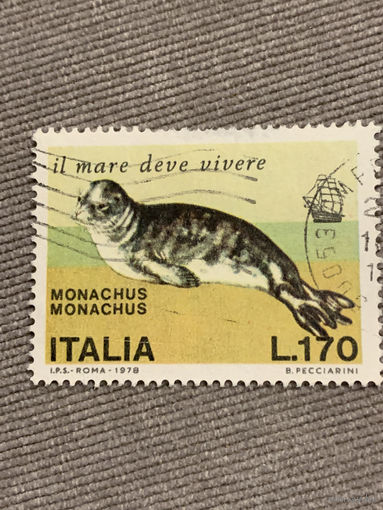 Италия 1978. Monachus. Марка из серии