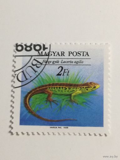 Венгрия 1989. Фауна. Рептилии