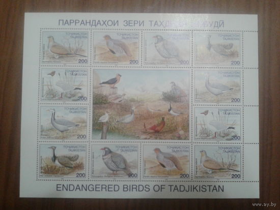 Таджикистан 1996 Птицы лист Mi-17,0 евро