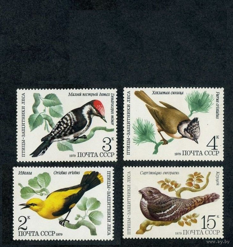 СССР 1979 Фауна Птицы 4 чистые марки **
