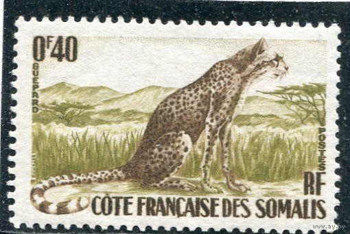 Французское Сомали. Фауна. Гепард