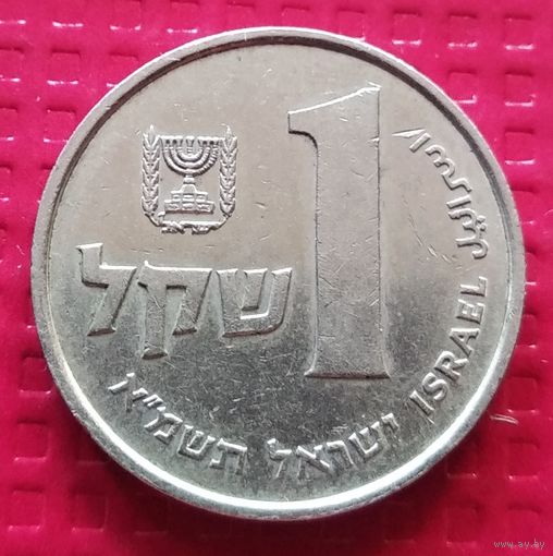 Израиль 1 шекель 1981 г. #40714