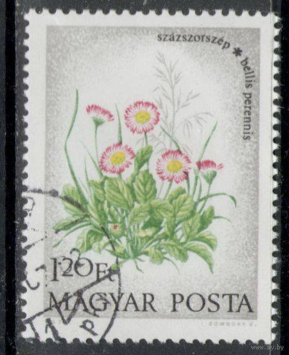 Марка Венгрия Цветы