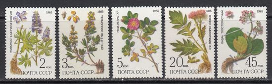 Цветы Растения Флора 1985 СССР MNH полная серия 5 м зуб