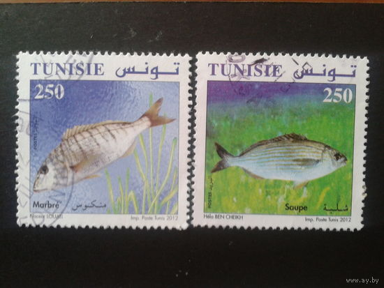 Тунис 2012 рыбы