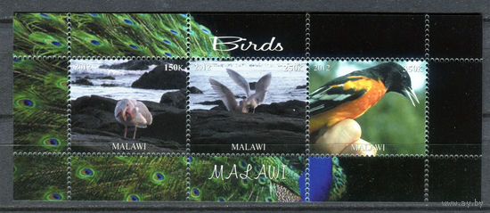 Малави - 2012г. - Птицы - полная серия, MNH - 1 малый лист