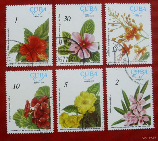 Куба. Цветы. ( 6 марок ) 1977 года. 4-15.