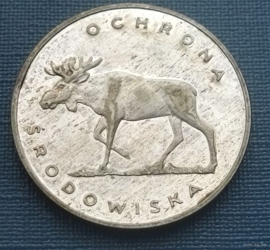 Серебро 0,625! Польша 100 злотых, 1978 Охрана окружающей среды - Лось