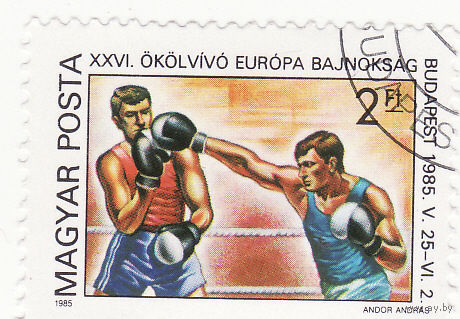 Чемпионат Европы по боксу, 1985, Будапешт 1985 год
