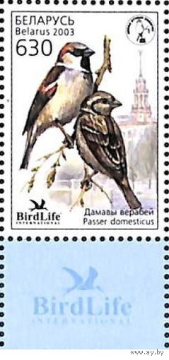 Беларусь 2003 Птица года(поле с эмблемой)