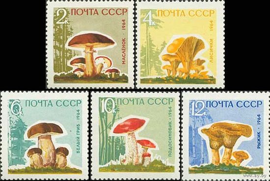 Грибы СССР 1964 год серия (3123А-3127А) из 5 марок (с лаковым покрытием)
